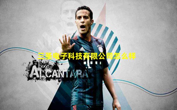 三圣电子科技有限公司怎么样