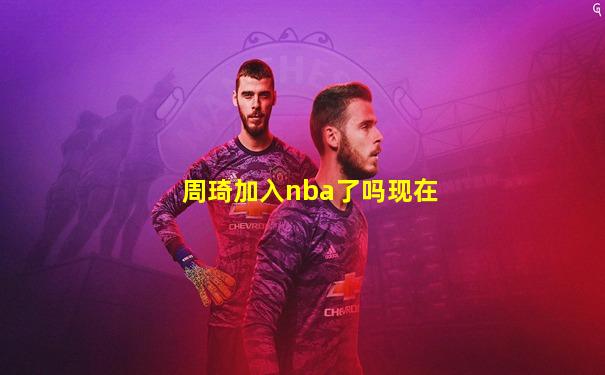 周琦加入nba了吗现在