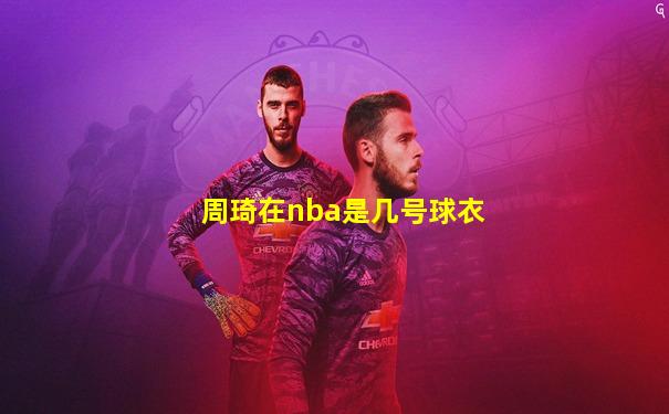 周琦在nba是几号球衣