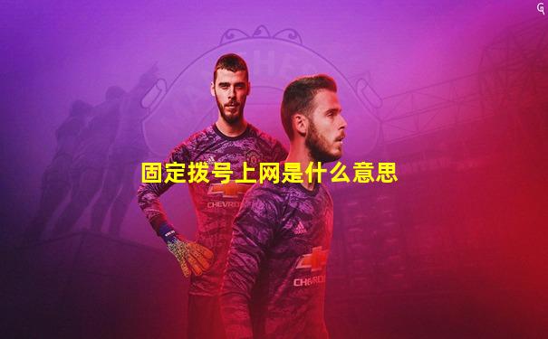 固定拨号上网是什么意思
