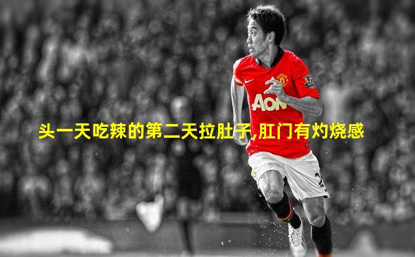 头一天吃辣的第二天拉肚子,肛门有灼烧感