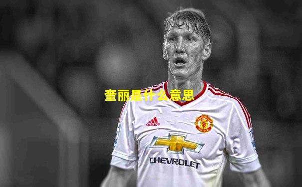奎丽是什么意思