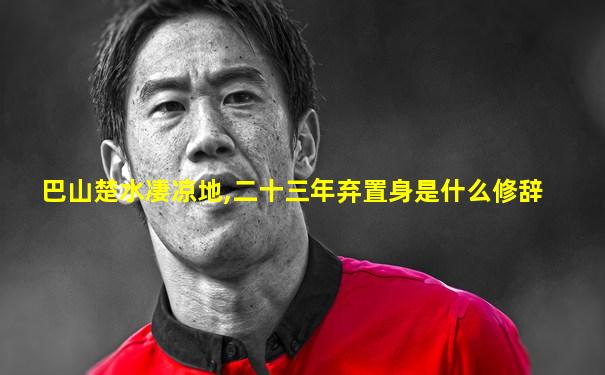 巴山楚水凄凉地,二十三年弃置身是什么修辞
