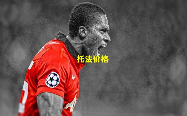 托法价格