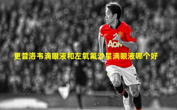 更昔洛韦滴眼液和左氧氟沙星滴眼液哪个好