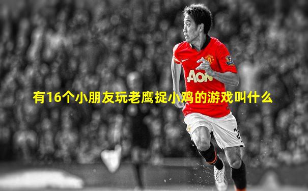有16个小朋友玩老鹰捉小鸡的游戏叫什么