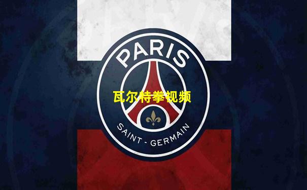 瓦尔特拳视频