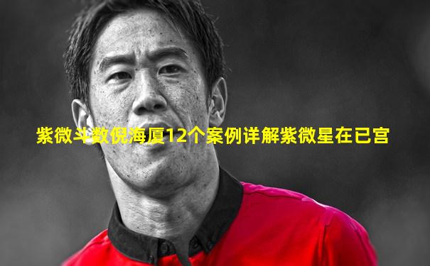 紫微斗数倪海厦12个案例详解紫微星在已宫