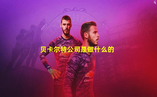 贝卡尔特公司是做什么的